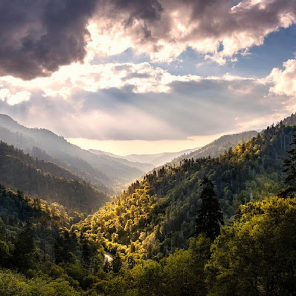 Meet your Posher, Ashley - Picture 1 of 1